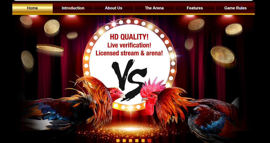 Đá gà là một trong những mảng thế mạnh của nhà cái S128