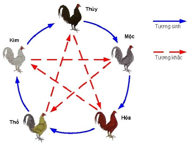 Kinh nghiệm xem ngày đá gà tốt từ chuyên gia 6 Hướng dẫn xem ngày đá gà tốt chi tiết nhất