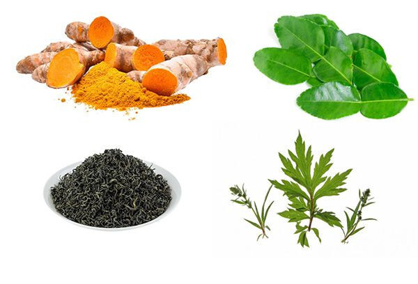 Các nguyên liệu cơ bản trong các bài thuốc om bóp gà chọi 