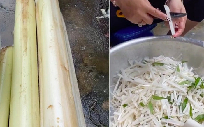 Một số lưu ý quan trọng trong quá trình cho gà ăn thân cây chuối