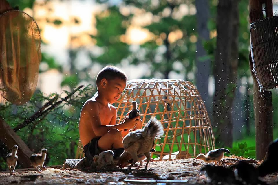 Cách tắm gà tre đá - Tổng hợp các cách tắm sư kê hay áp dụng 2 Những câu hỏi thường gặp về cách tắm gà tre đá