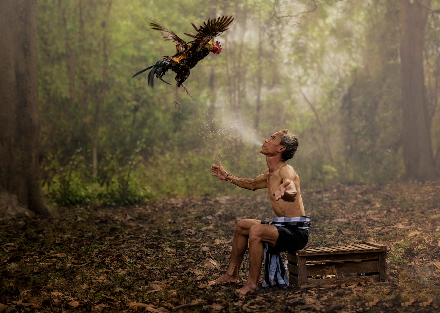 Tìm hiểu về một số cách tắm gà tre đá đơn giản