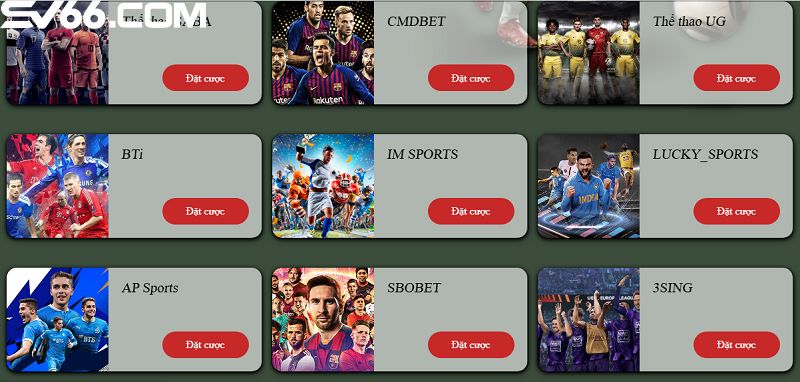 Cá cược thể thao tại SV66